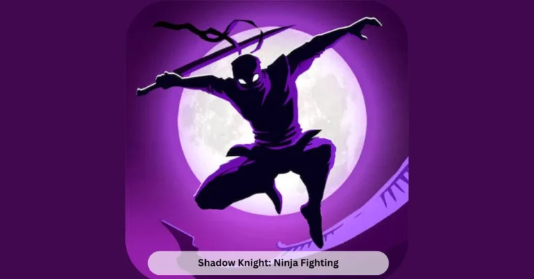 Shadow Knight Ninja Fighting